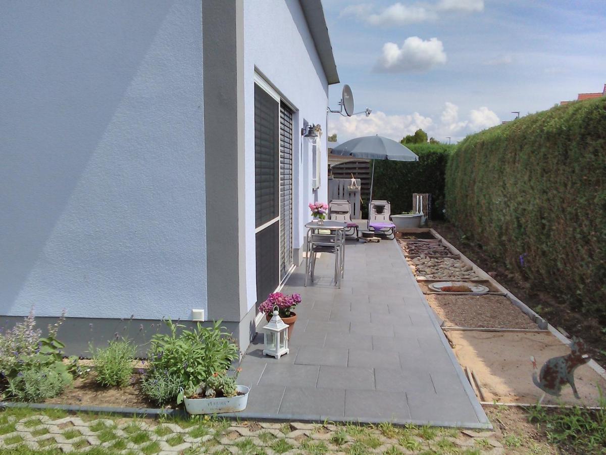 Das Kleine Lavendelhaus Kahl am Main Εξωτερικό φωτογραφία